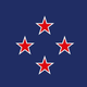 "New Southern Cross," by Wayne William Doyle.